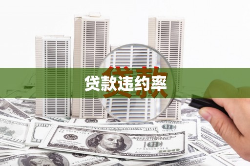 柘城贷款违约率