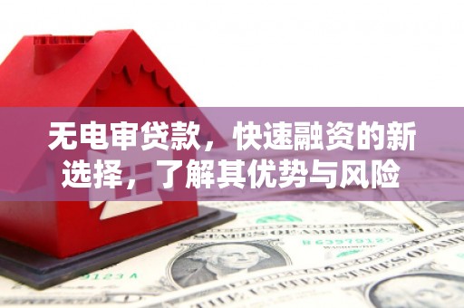 柘城无电审贷款，快速融资的新选择，了解其优势与风险