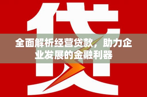 柘城全面解析经营贷款，助力企业发展的金融利器