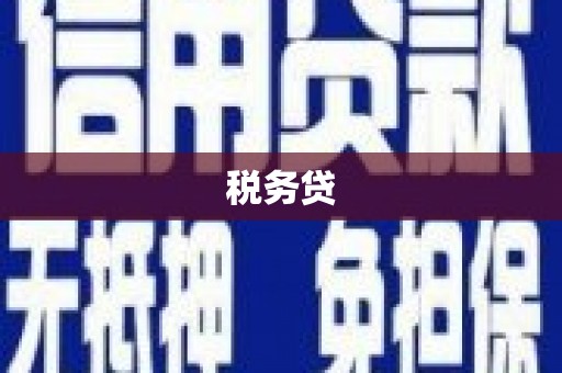 柘城税务贷