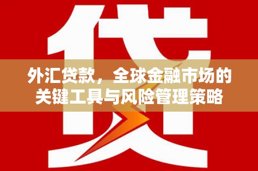 柘城外汇贷款，全球金融市场的关键工具与风险管理策略