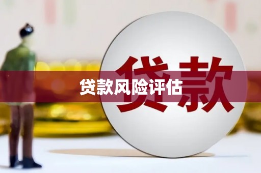 柘城贷款风险评估