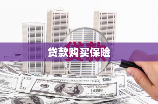 柘城贷款购买保险