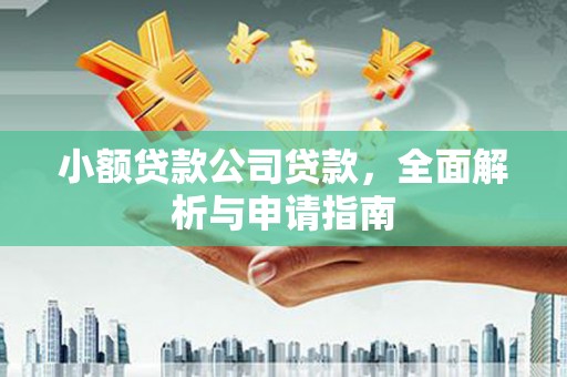 柘城小额贷款公司贷款，全面解析与申请指南