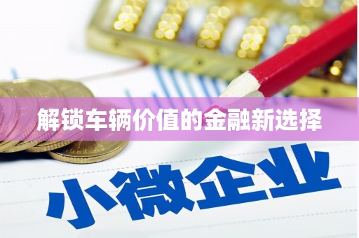 柘城解锁车辆价值的金融新选择