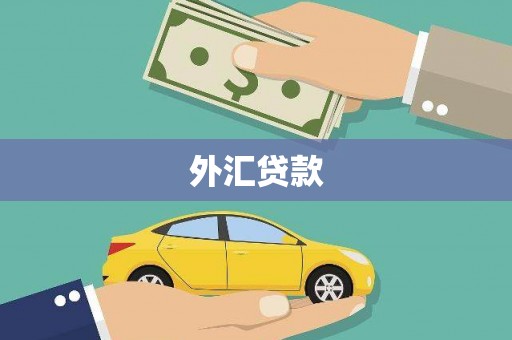 柘城外汇贷款