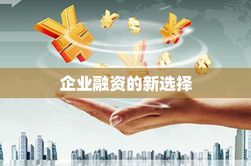 柘城企业融资的新选择