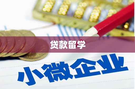 柘城贷款留学