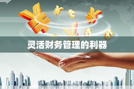 柘城灵活财务管理的利器