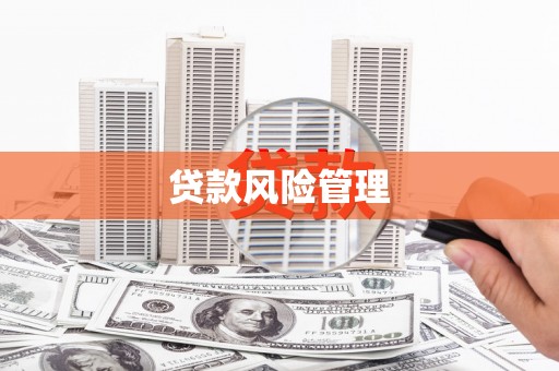 柘城贷款风险管理