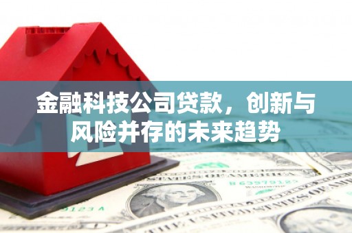 柘城金融科技公司贷款，创新与风险并存的未来趋势
