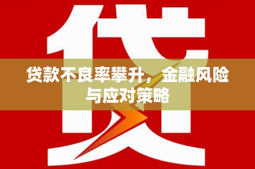 柘城贷款不良率攀升，金融风险与应对策略