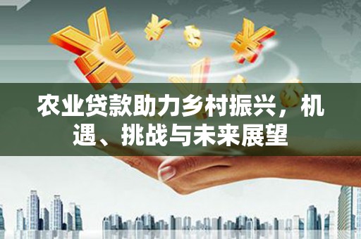 柘城农业贷款助力乡村振兴，机遇、挑战与未来展望