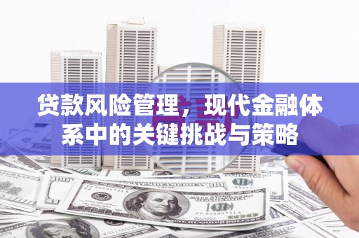 柘城贷款风险管理，现代金融体系中的关键挑战与策略