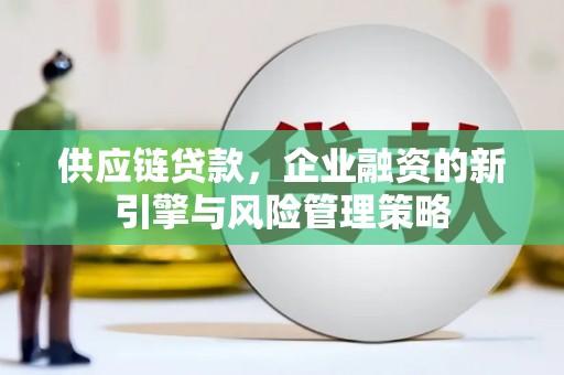 柘城供应链贷款，企业融资的新引擎与风险管理策略