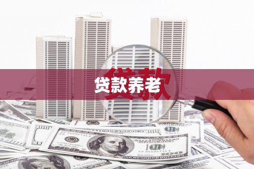 柘城贷款养老