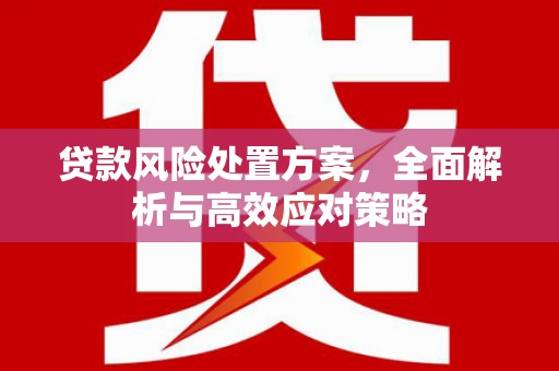 柘城贷款风险处置方案，全面解析与高效应对策略