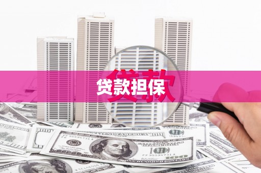 柘城贷款担保
