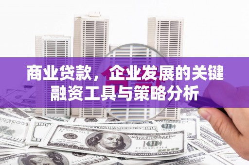 柘城商业贷款，企业发展的关键融资工具与策略分析