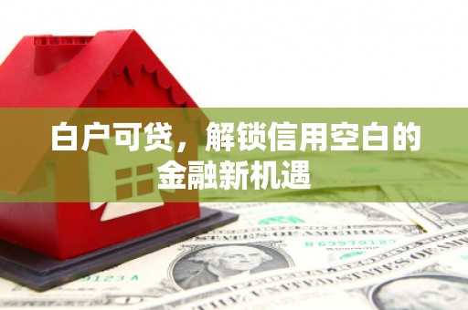 柘城白户可贷，解锁信用空白的金融新机遇