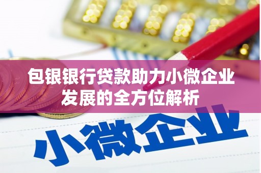 柘城包银银行贷款助力小微企业发展的全方位解析