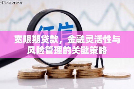 柘城宽限期贷款，金融灵活性与风险管理的关键策略