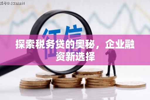 柘城探索税务贷的奥秘，企业融资新选择