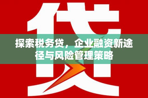 柘城探索税务贷，企业融资新途径与风险管理策略