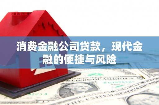 柘城消费金融公司贷款，现代金融的便捷与风险