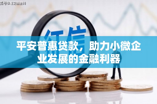 柘城平安普惠贷款，助力小微企业发展的金融利器