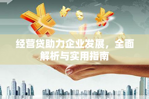 柘城经营贷助力企业发展，全面解析与实用指南