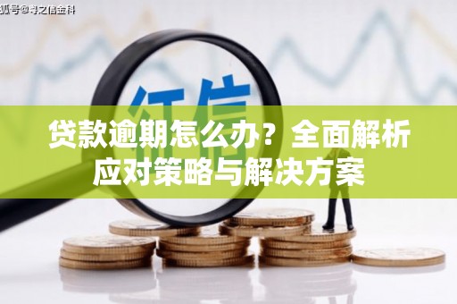 柘城贷款逾期怎么办？全面解析应对策略与解决方案