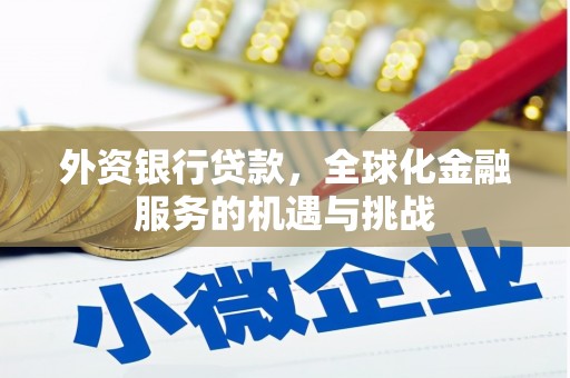 柘城外资银行贷款，全球化金融服务的机遇与挑战