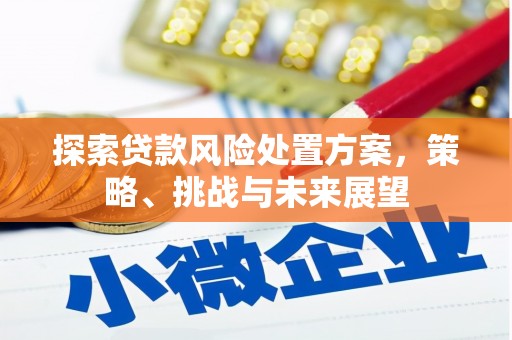 柘城探索贷款风险处置方案，策略、挑战与未来展望