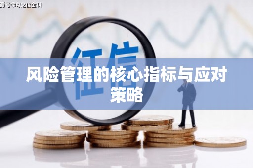 柘城风险管理的核心指标与应对策略