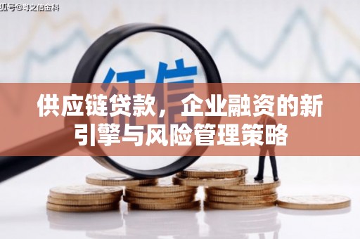 柘城供应链贷款，企业融资的新引擎与风险管理策略
