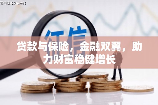 柘城贷款与保险，金融双翼，助力财富稳健增长