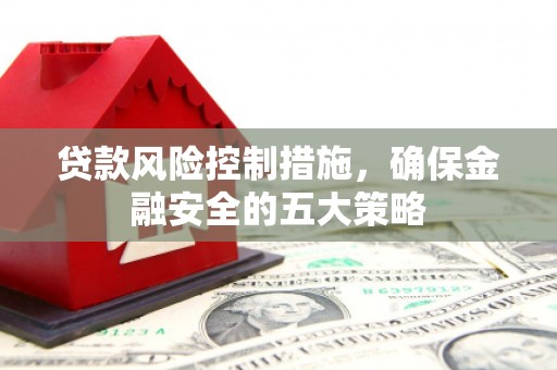 柘城贷款风险控制措施，确保金融安全的五大策略