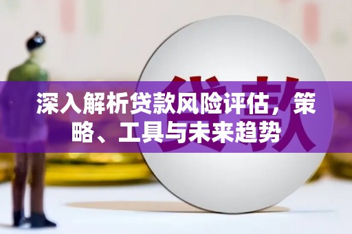 柘城深入解析贷款风险评估，策略、工具与未来趋势