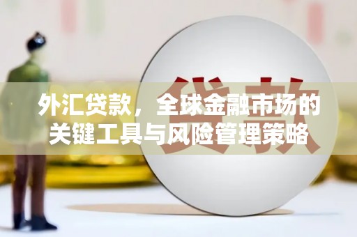 柘城外汇贷款，全球金融市场的关键工具与风险管理策略