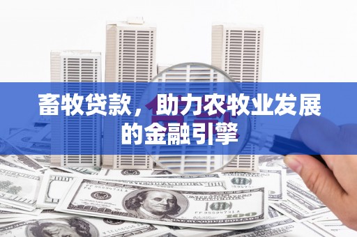 柘城畜牧贷款，助力农牧业发展的金融引擎