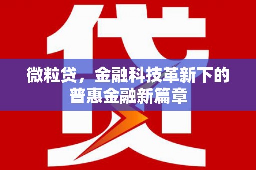柘城微粒贷，金融科技革新下的普惠金融新篇章