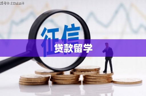 柘城贷款留学
