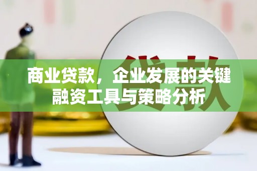 柘城商业贷款，企业发展的关键融资工具与策略分析