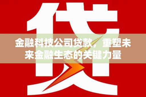 柘城金融科技公司贷款，重塑未来金融生态的关键力量