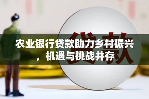 柘城农业银行贷款助力乡村振兴，机遇与挑战并存