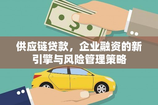 柘城供应链贷款，企业融资的新引擎与风险管理策略