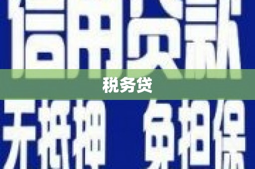 柘城税务贷