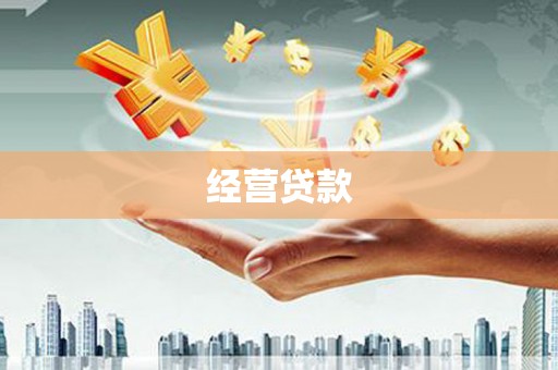 柘城经营贷款