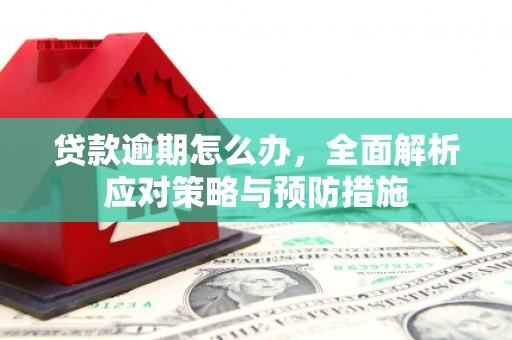 柘城贷款逾期怎么办，全面解析应对策略与预防措施